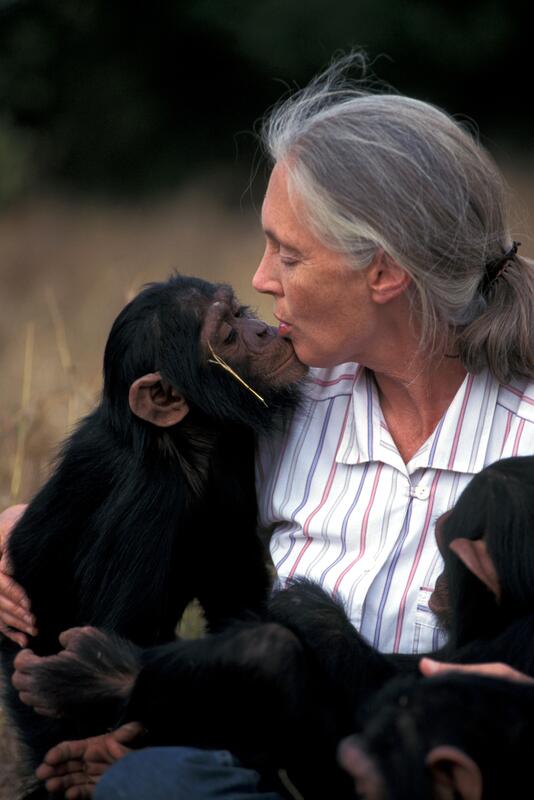 Jane Goodall -1934 - 2025