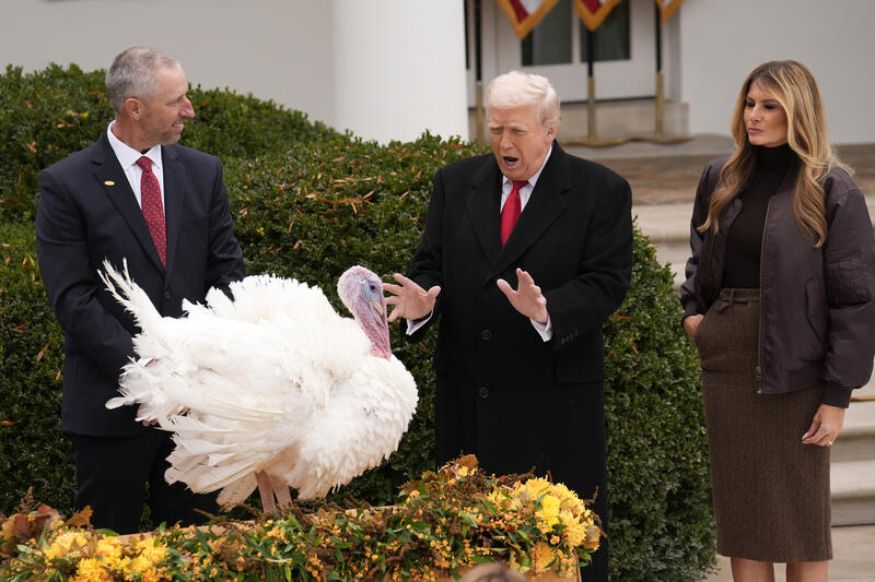 Highlights Of The Year 2025