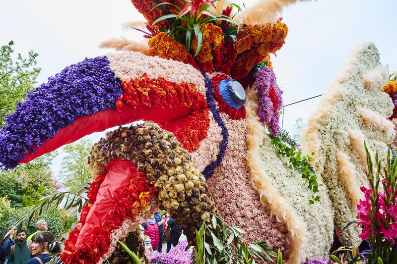 Flower parade winds through the Bulb Region