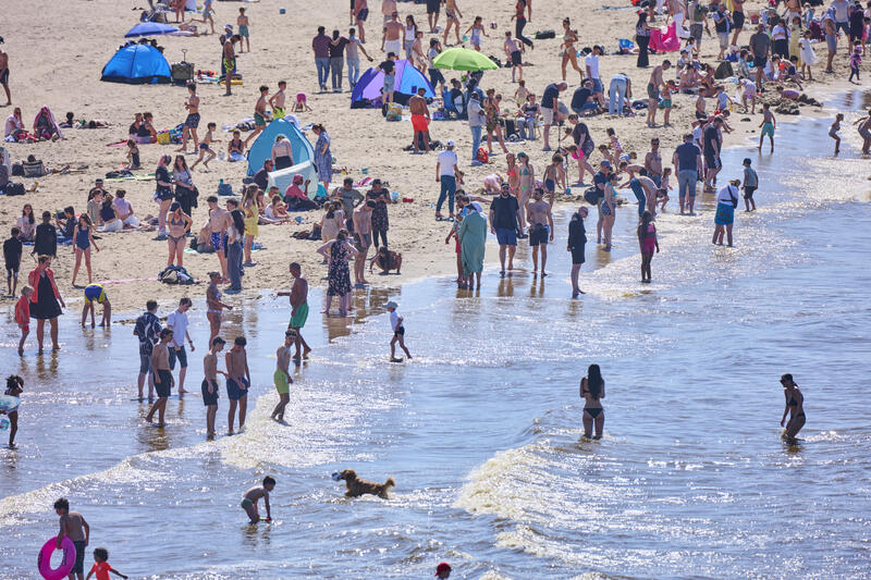 Sunny beach day in Scheveningen