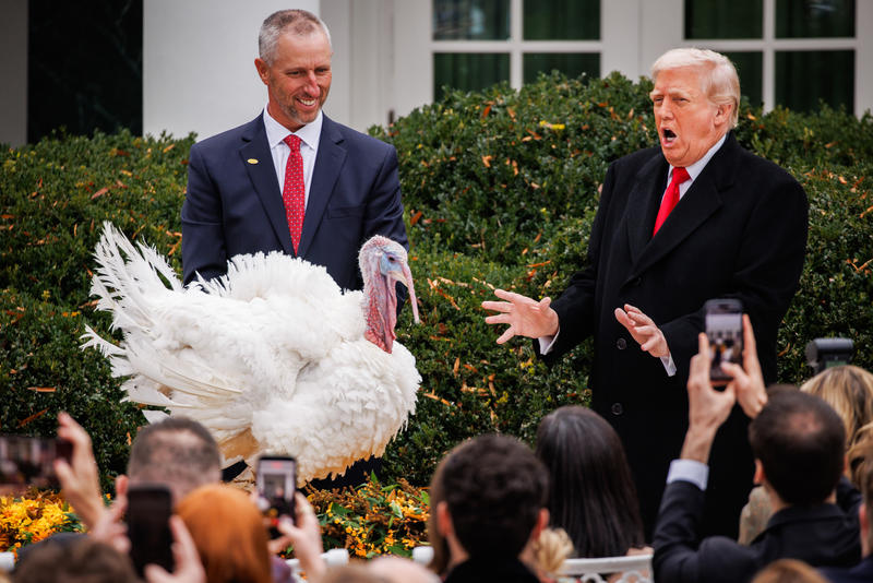 Trump Pardons Turkey For Thanksgiving